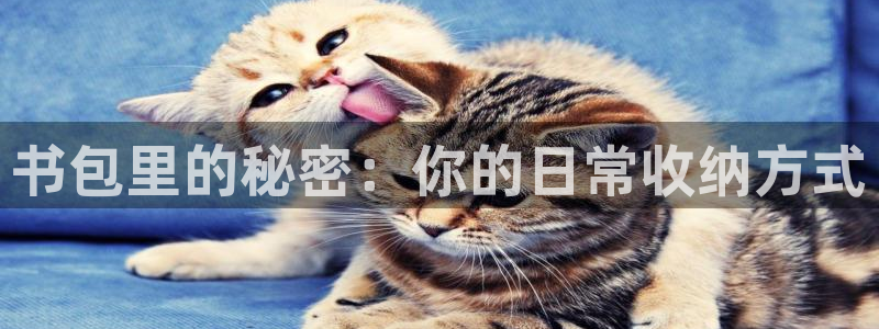 九游会盈盈：书包里的秘密：你的日常收纳方