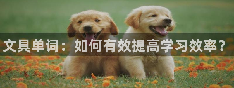 九游会官网手机版入口：文具单词：如何有效