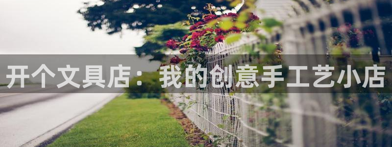 九游会可靠吗：开个文具店：我的创意手工艺