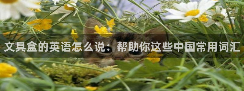 九游会官网真人游戏下载