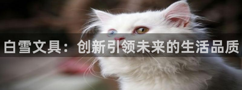 ag变九游会：白雪文具：创新引领未来的生