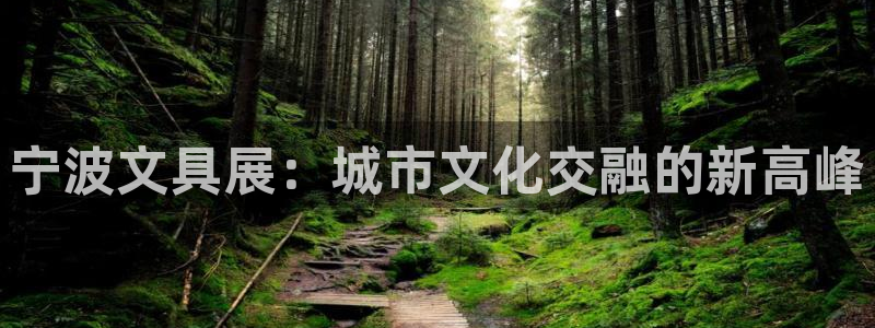 9游九游会