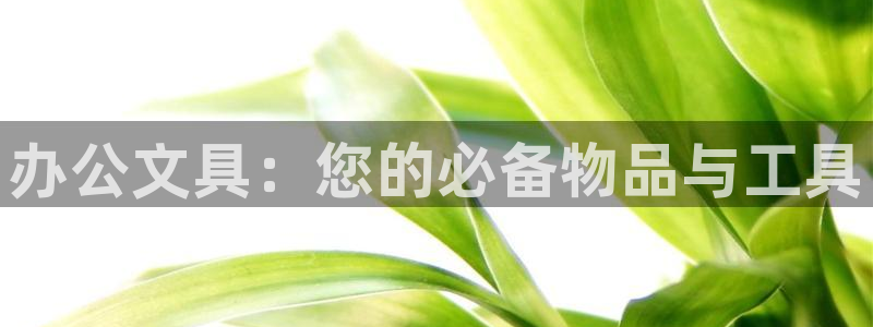 九游会官网登录不上：办公文具：您的必备物
