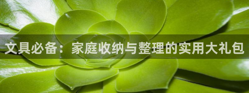 九游会冲：文具必备：家庭收纳与整理的实用