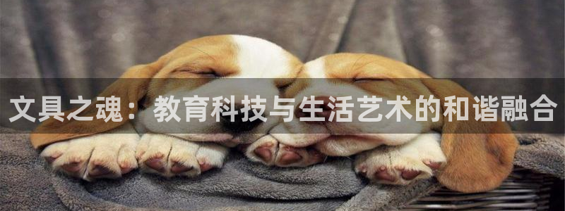 九游会ag暴富：文具之魂：教育科技与生活