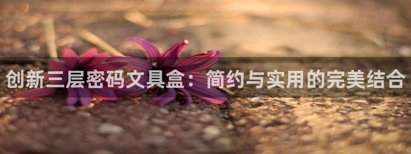 九游会官方网站：创新三层密码文具盒：简约