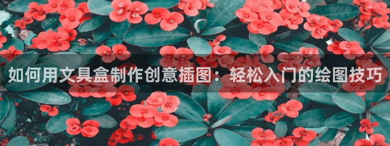 九游会亚洲公司：如何用文具盒制作创意插图