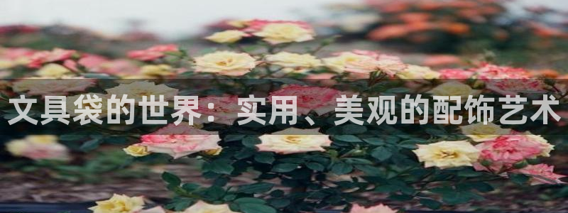 九游九游会官网：文具袋的世界：实用、美观