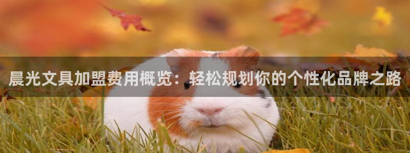 ag九游会只为非凡：晨光文具加盟费用概览