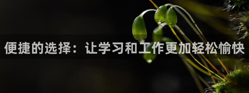 举报九游会：便捷的选择：让学习和工作更加