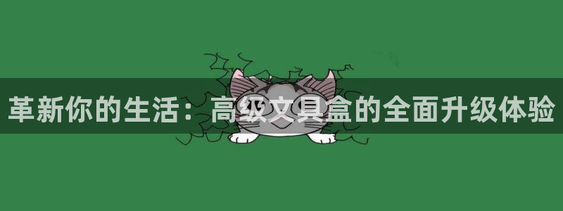 九游会MG平台：革新你的生活：高级文具盒