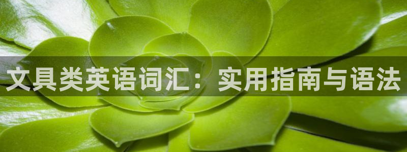 九游会棋牌游：文具类英语词汇：实用指南与