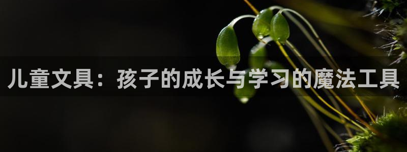 九游会感受
