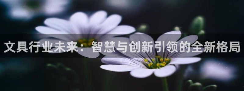 九游会黑钱吗：文具行业未来：智慧与创新引