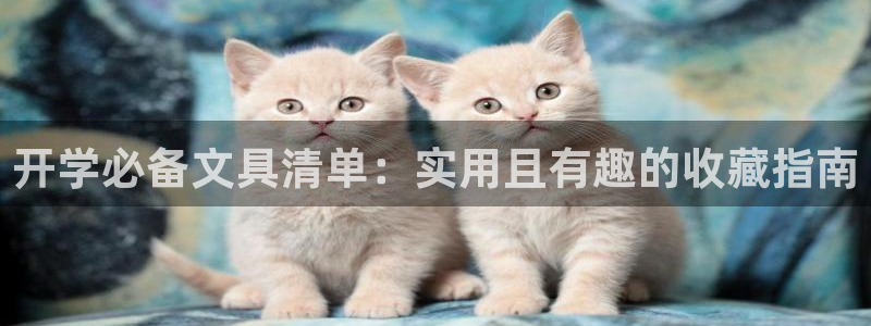 九游会提现：开学必备文具清单：实用且有趣