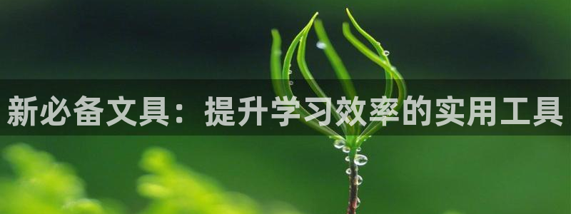 亚游九游会：新必备文具：提升学习效率的实