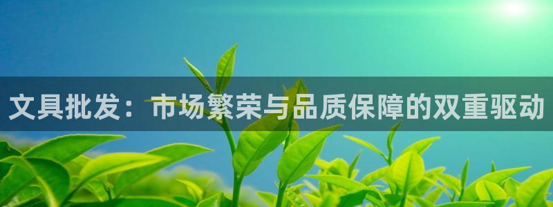 ag九游会j9类似平台：文具批发：市场繁