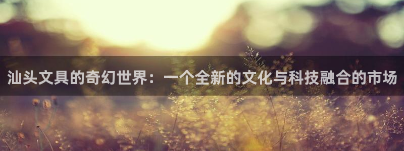 九游会注册网页：汕头文具的奇幻世界：一个