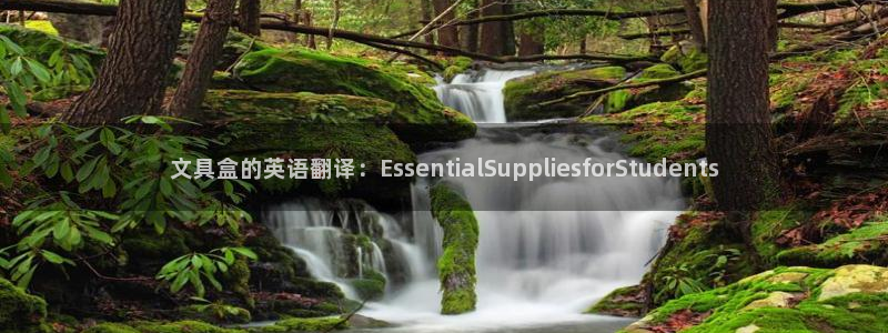 九游会真人品牌：文具盒的英语翻译：Ess
