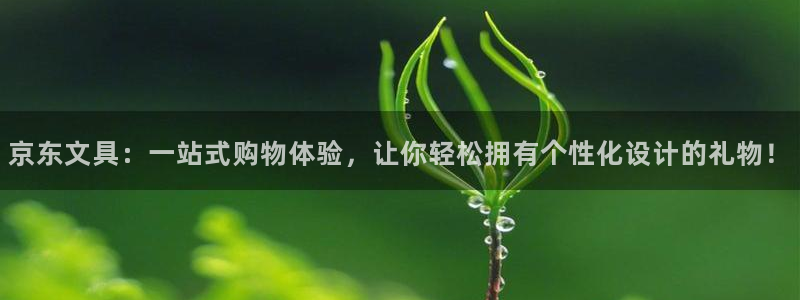 九游会积分王：京东文具：一站式购物体验，
