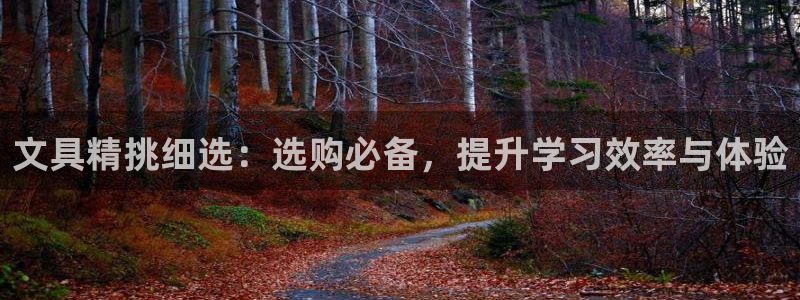 九游会j9备用网址：文具精挑细选：选购必