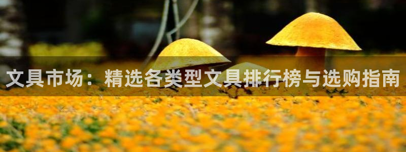 j9九游会官方网站国际：文具市场：精选各