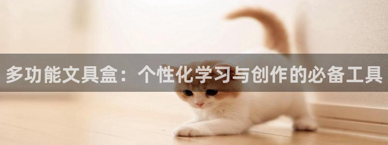 九游会备用网址：多功能文具盒：个性化学习