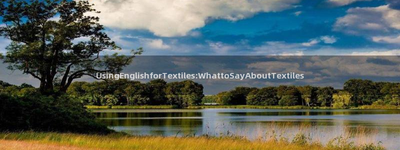 九游会ag群聊：UsingEnglish