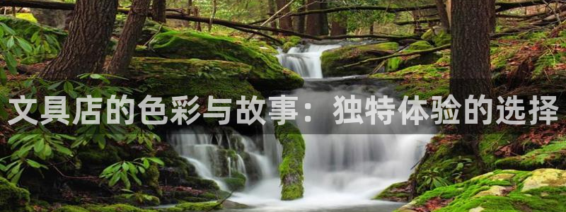 九游会网页版官网：文具店的色彩与故事：独