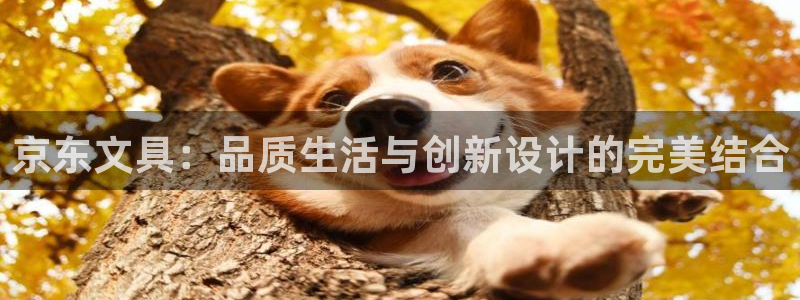 九游会凯时：京东文具：品质生活与创新设计