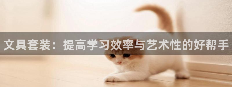 九游会AG网址登录：文具套装：提高学习效