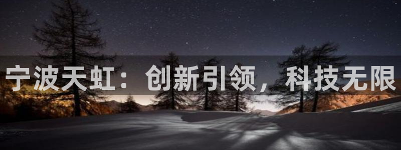 就九游会：宁波天虹：创新引领，科技无限