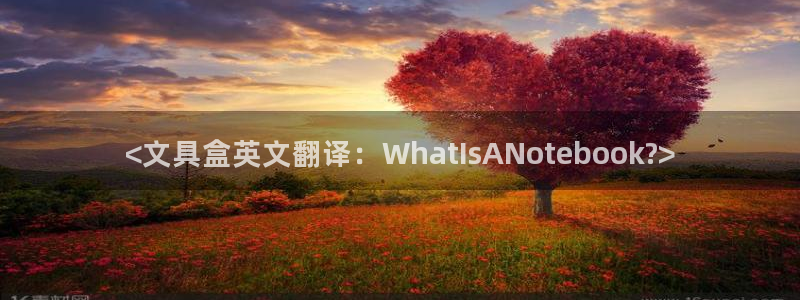 九游会登陆官方网站：<文具盒英文翻译：W