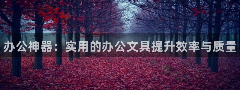 九游会直播：办公神器：实用的办公文具提升