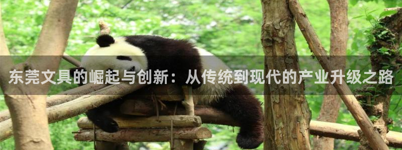 AG九游会官方首页：东莞文具的崛起与创新