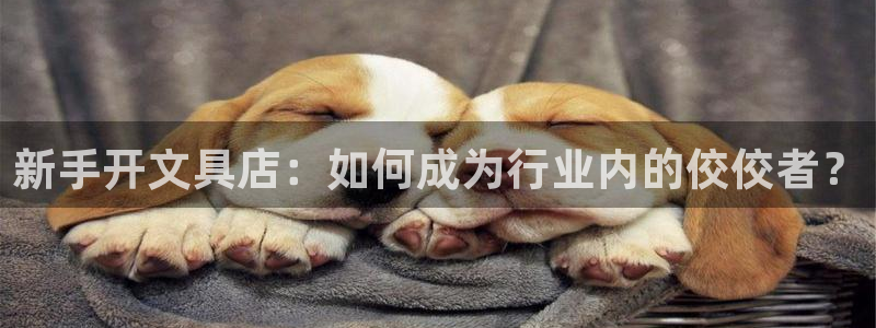 九游会棋牌牌：新手开文具店：如何成为行业