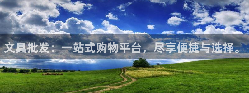 九游会j9客服：文具批发：一站式购物平台