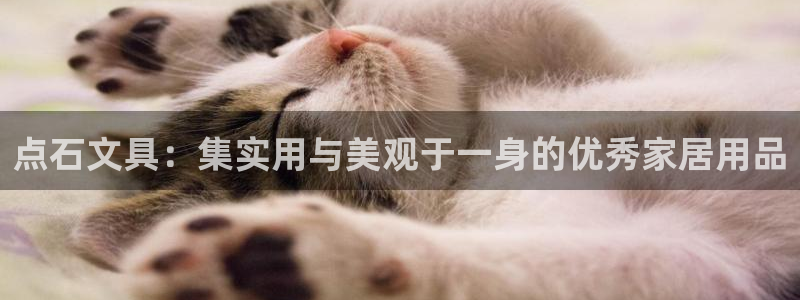 九游会苹果：点石文具：集实用与美观于一身