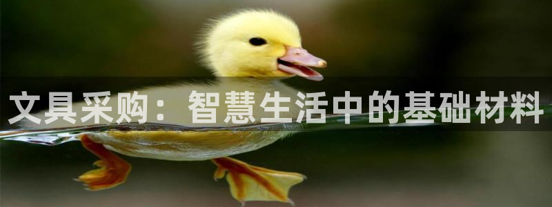 ag九游会j9j9：文具采购：智慧生活中