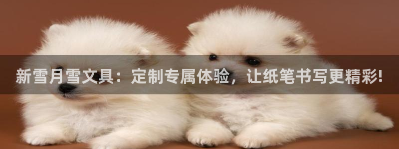 九游会正规备用网址：新雪月雪文具：定制专