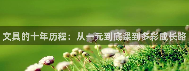 九游会平台是不是废了：文具的十年历程：从