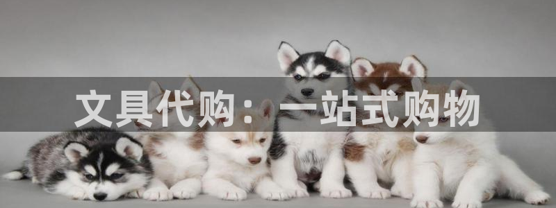 九游会官网在线登录网页：文具代购：一站式