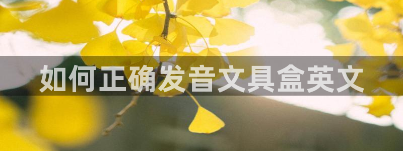 登录   九游会：如何正确发音文具盒英文