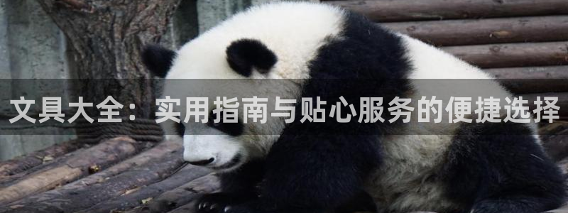 九游会网页入口：文具大全：实用指南与贴心