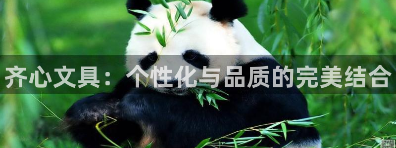 九游会平台最强