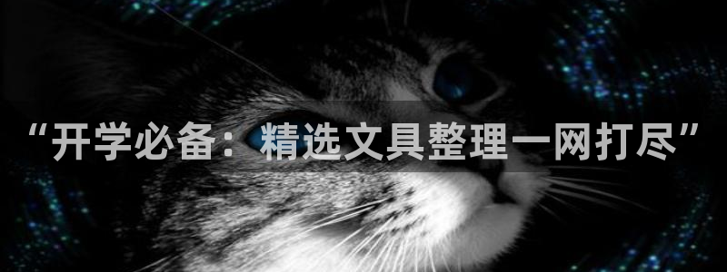 九游会阿里28理财源码：“开学必备：精选