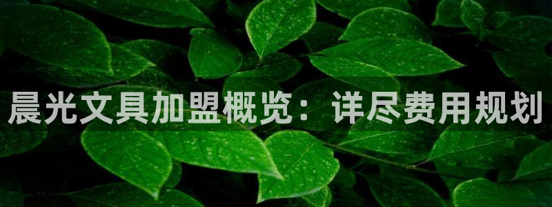 九游会正网：晨光文具加盟概览：详尽费用规