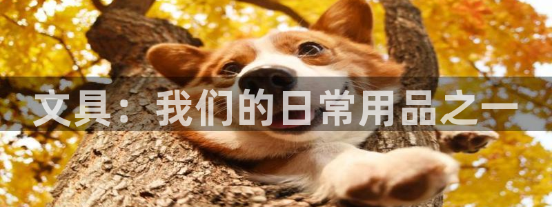 九游会ag注册：文具：我们的日常用品之一