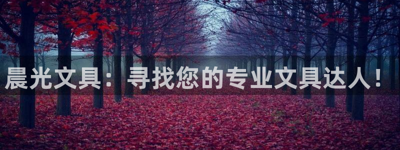 九游会亚洲集团：晨光文具：寻找您的专业文