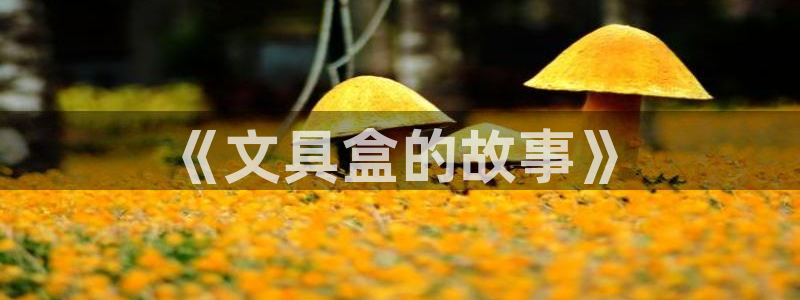 九游会官网网站入口：《文具盒的故事》